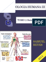 II Unofidad Morfisiologia III Completa Samuel Reyes-2