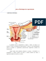 Anatomia e Fisiologia Da Reprodução
