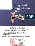 Ear Anatomy