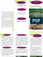 Triptico Deforestacion