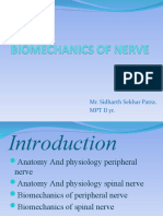 Bio Mechanics of Nerve 03