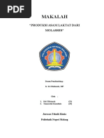 Download MAKALAH ASAM LAKTAT by Ddiiah Fuaiidiah SN297871190 doc pdf