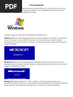 Tipos de Windows