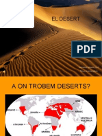PRESENTACIÓ DESERT