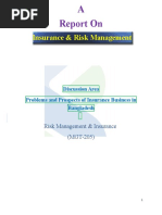 A Report On Sandhani Insurance Ltd.