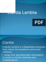 Giardia Lamblia