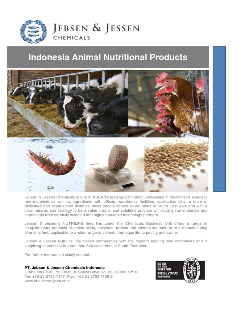Feed Product List | PDF | Animal Feed | Proteins