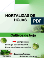 Hortalizas de Hojas