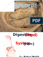 Digestive System