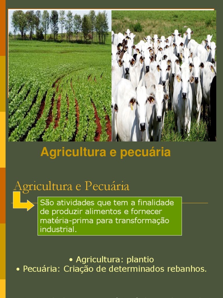 Agricultura e Pecuária.pdf | Agronegócio | Agricultura