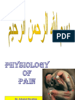 pain-100306152548-phpapp02
