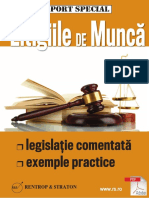 Litigiile de Munca