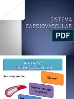 Clase Cardiovascular