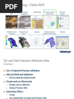 C04_QC of Fracture Input_2010