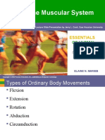 Anatomy Muscular System Body Movement