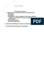 DSL Dura Venous Sinuses