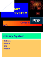 THE Urinary System: Cefer S. Sales, MD