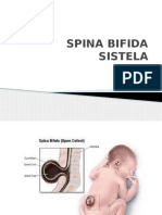 Spina Bifida Sistela
