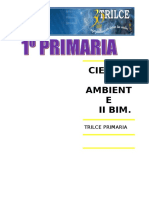 CIENC Y AMBT  II BIM.doc