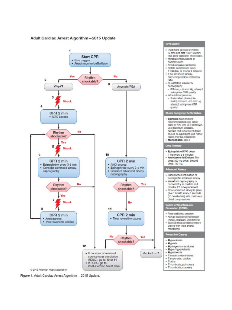 Acls PDF