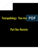 Neuropathology-Non Viral Infection
