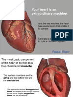 VB Circulatory Structures 011113