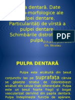 125201794-pulpa-dentara