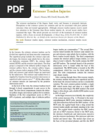 Download Extensor Tendon Injuries 2010 the Journal of Hand Surgery by Professeur Christian Dumontier SN298189883 doc pdf