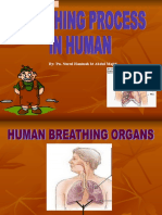 Breathing Process