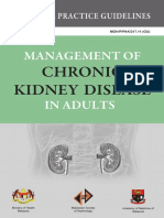 Kidney 01