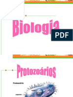 Protozoários