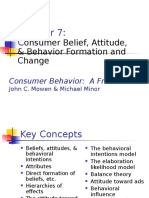 7) Consumer Belief and Attitude