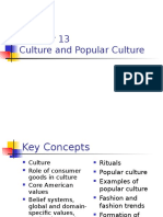 Chapter 13- Culture