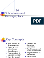 Chapter 14 Subculture