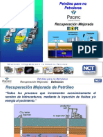 Recuperacion Mejorada ABC