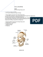 Docfoc.com-Anatomi Dasar Kepala.docx