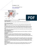 Sistem Reproduksi Pada Manusia