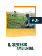 4 Sintesis Ambiental