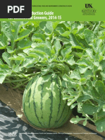 Download Vegetable Production Guide for Commercial Growers 2014-15 UK by fshirani7619 SN298425633 doc pdf