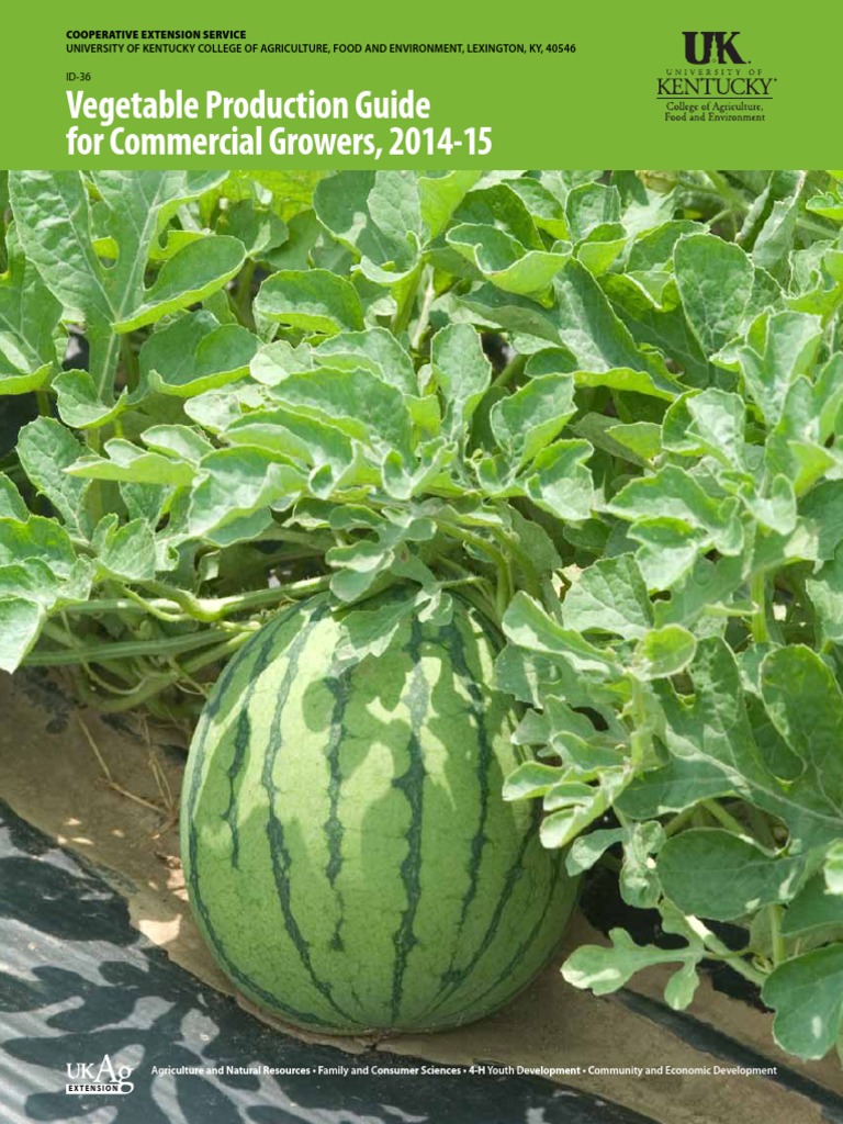 Vegetable Production Guide For Commercial Growers, 201415 U.K. PDF