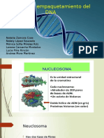 Empaquetamiento DNA