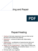 Healing and Repair 