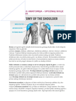 Rame Bodybuilding Anatomija
