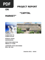 Download Project Report on Capital Market by Baltej Singh SN298474481 doc pdf