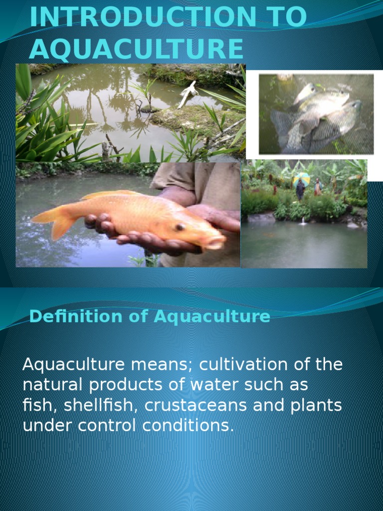 Aquaculture | PDF | Aquaculture | Rainbow Trout
