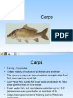 Low-Cost Aquaculture of Carps