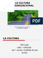 Cultura Organizacional