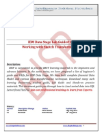 131383911 DataStage Switch Transformation