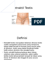 Retraktil Testis