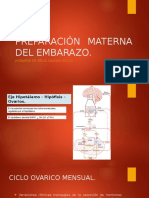 Preparación Materna Del Embarazo